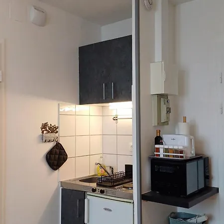 Proche Centre + Parking Appartamento Colmar