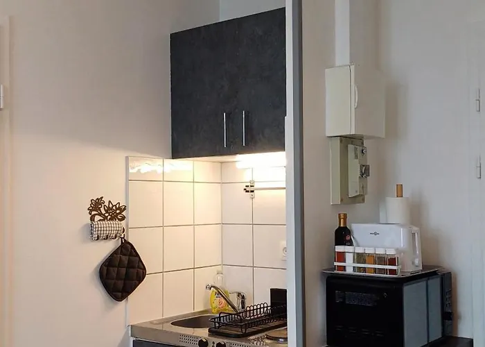 Proche Centre + Parking شقة كولمار