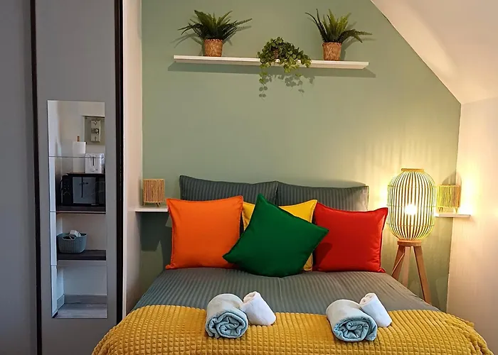 Proche Centre + Parking كولمار